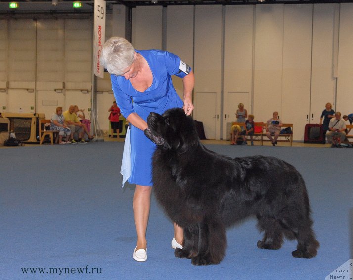 Фотография № 162462