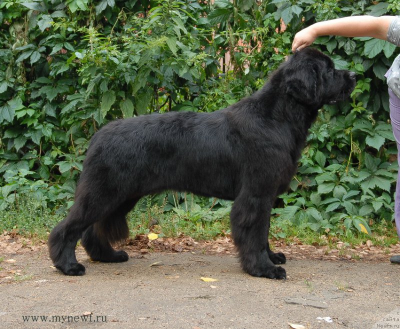 Фотография № 162468