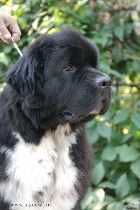 Фотография № 162476