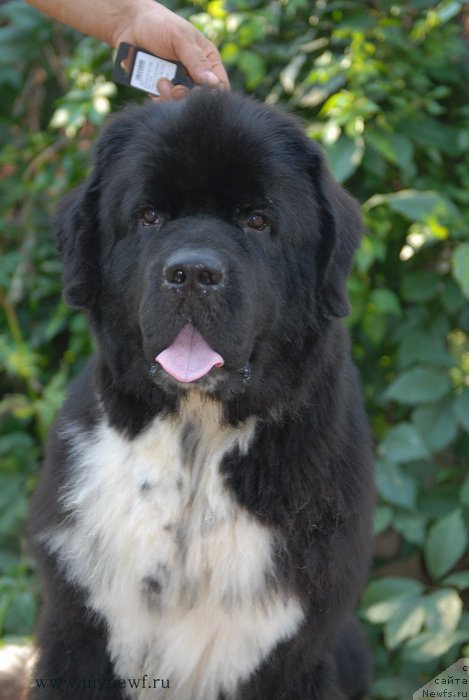 Фотография № 162478