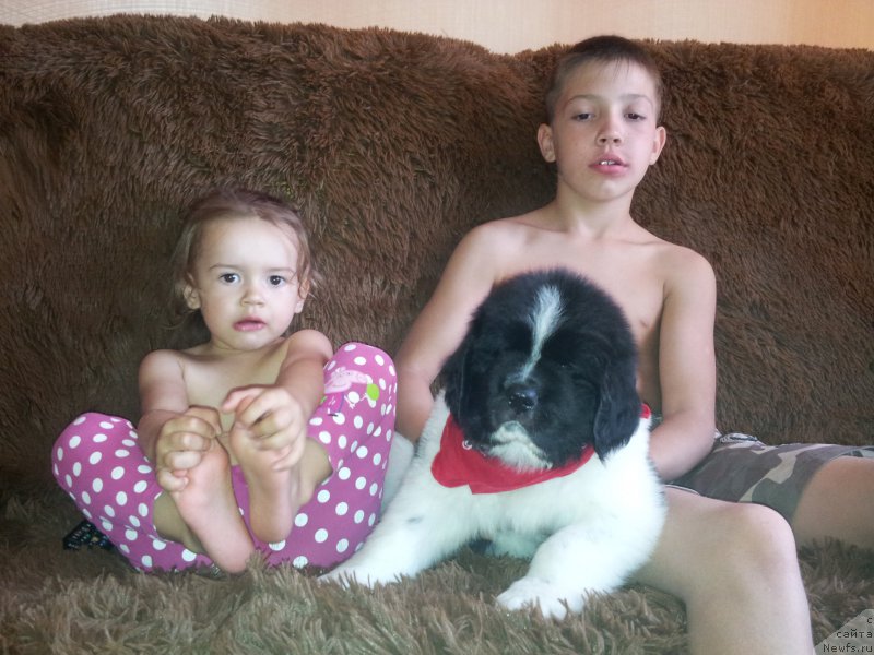 Фото: Таисия, Оптимус Прайм, Ричард