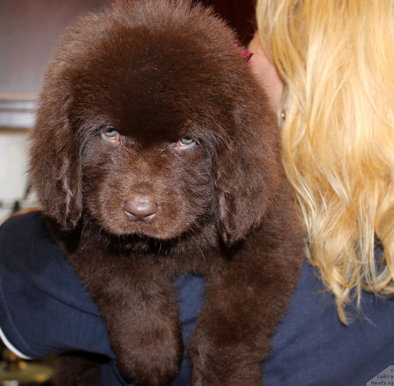 Фотография № 162575