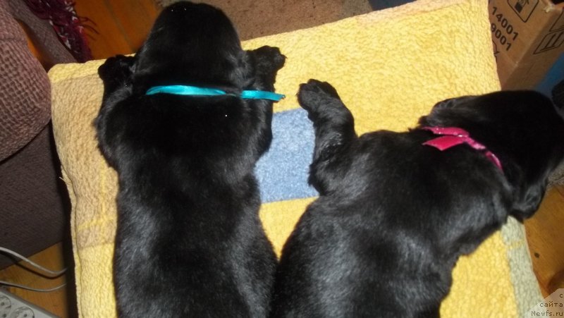 Фото: Inna Gabrus' (Инна Габрусь)