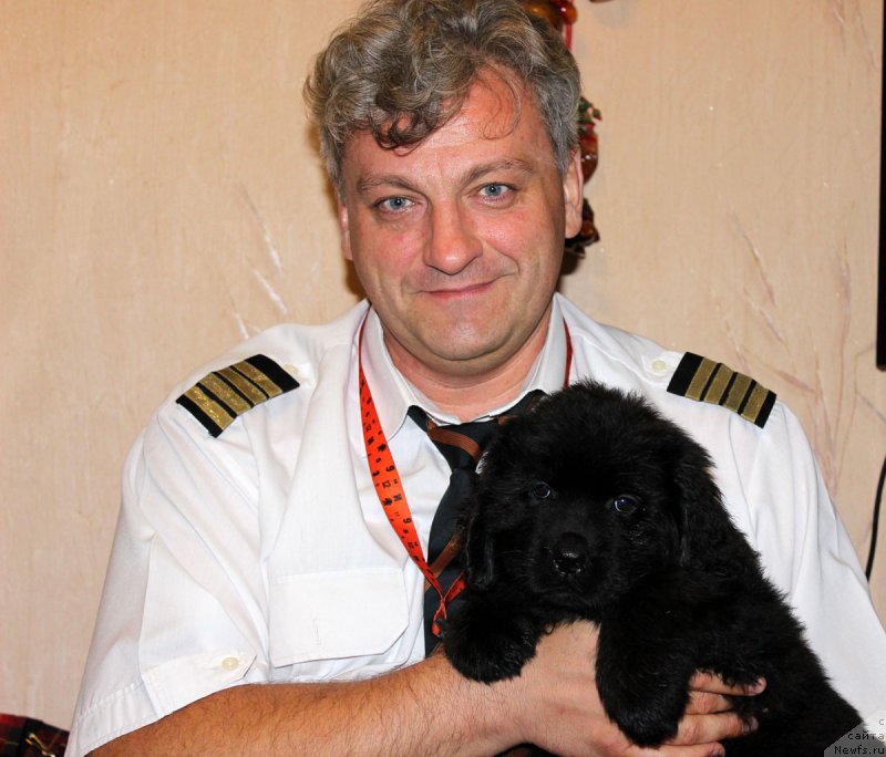 Фото: ньюфаундленд Brownblood MSK Harita Havva (Браунблад МСК Харита Хавва), Evgeniy Kurpas (Евгений Курпас)