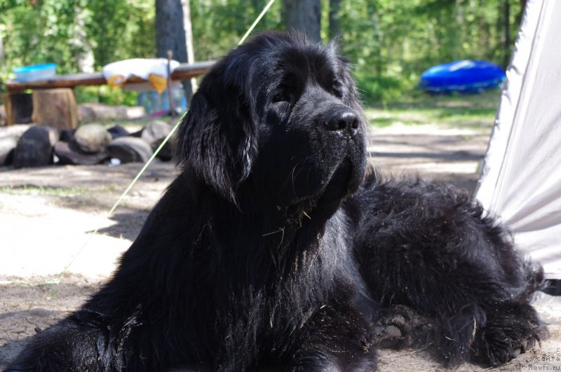 Фотография № 162630