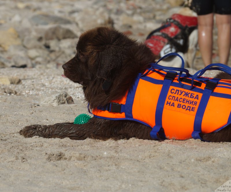 Фотография № 162642