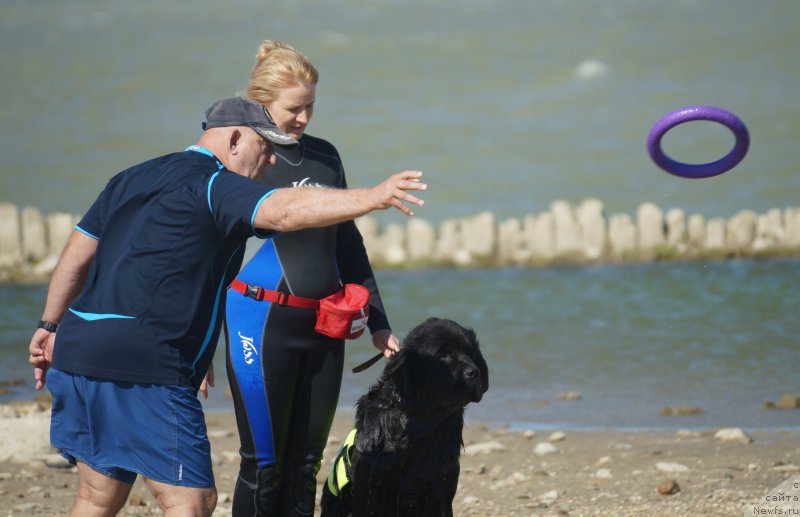 Фотография № 162643