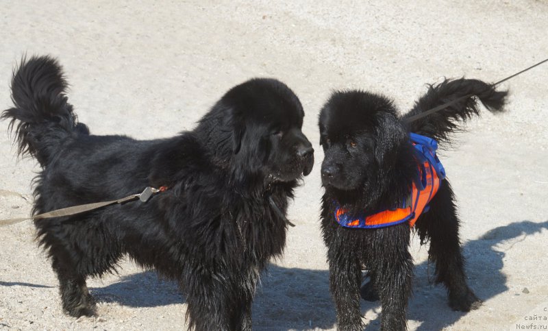 Фотография № 162646