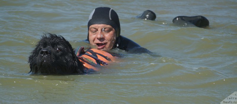 Фотография № 162650