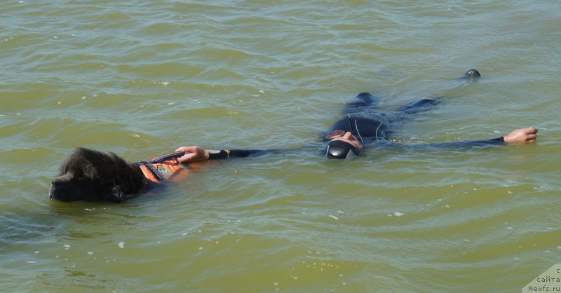 Фотография № 162651