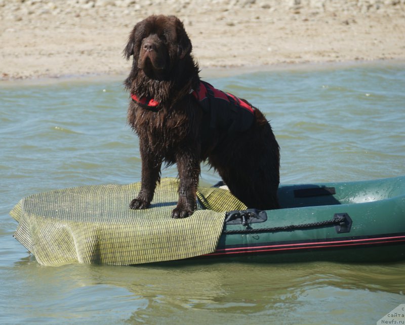 Фотография № 162652