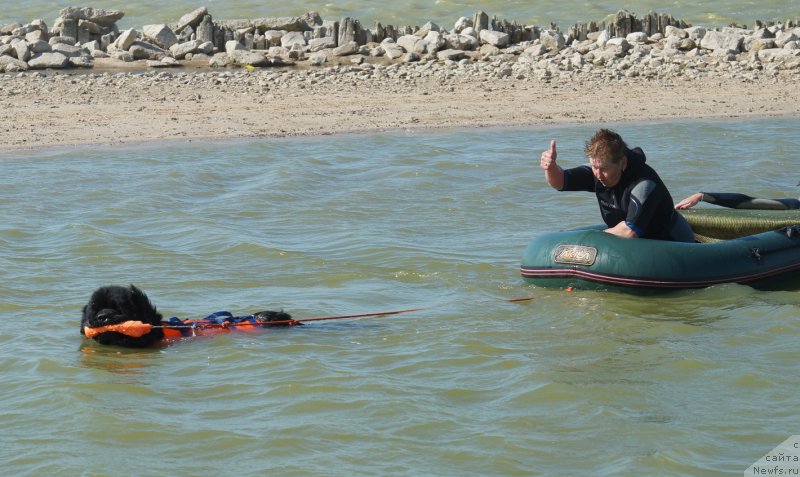 Фотография № 162658