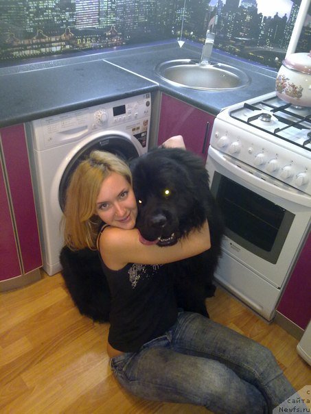 Фотография № 162677