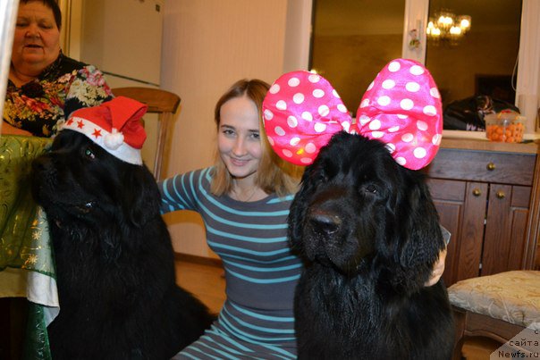 Фотография № 162678