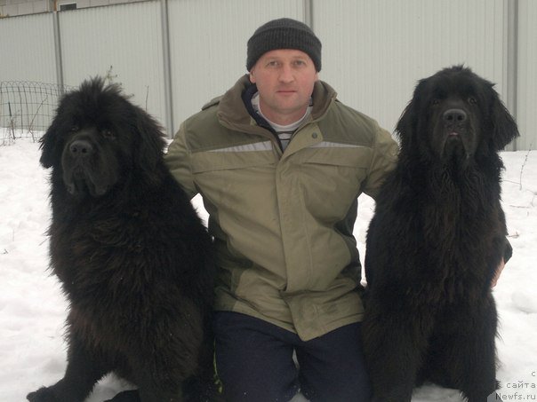 Фотография № 162679