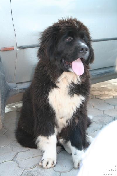 Фотография № 16269