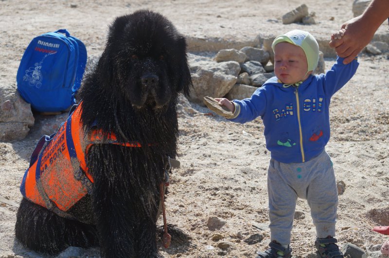 Фотография № 162696