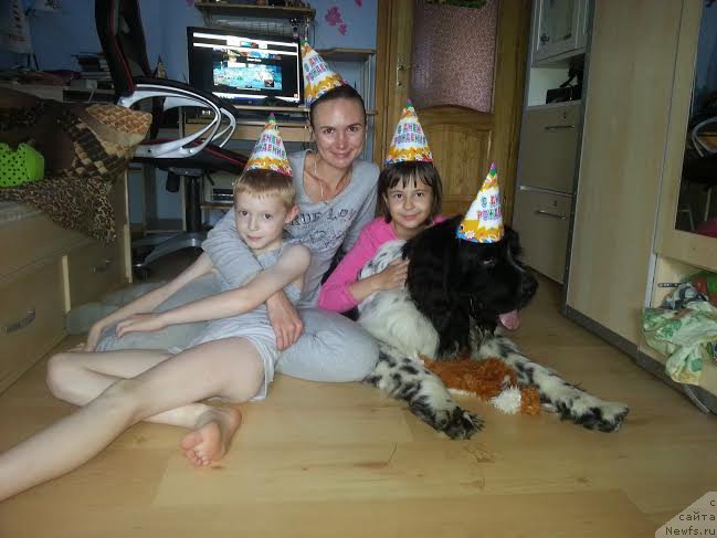 Фотография № 162699