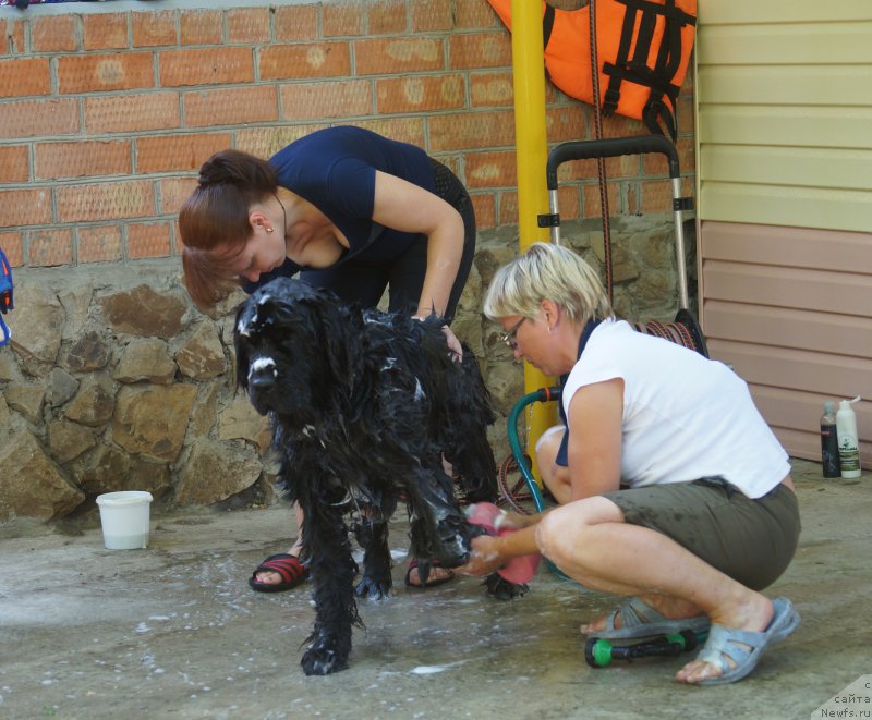 Фотография № 162703