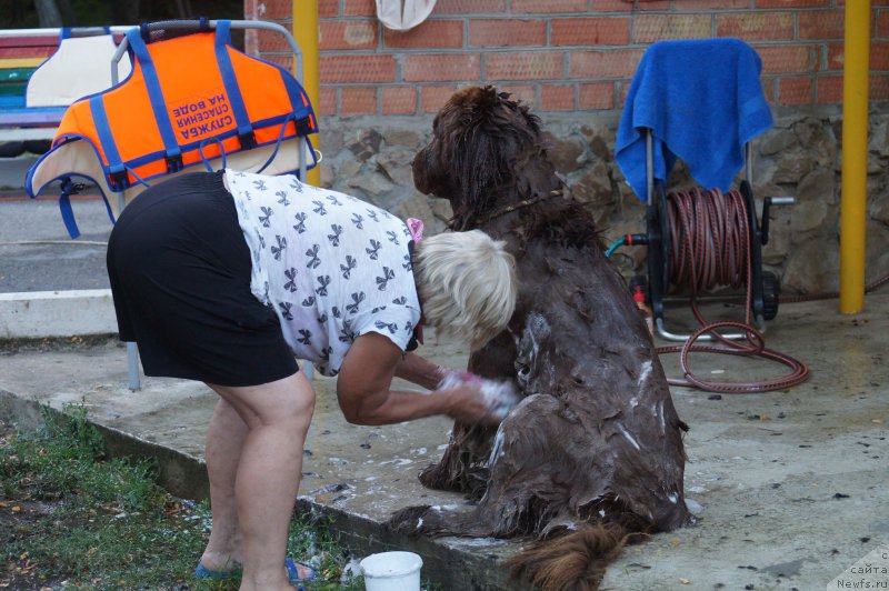 Фотография № 162706