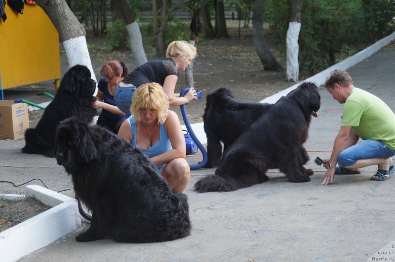 Фотография № 162708