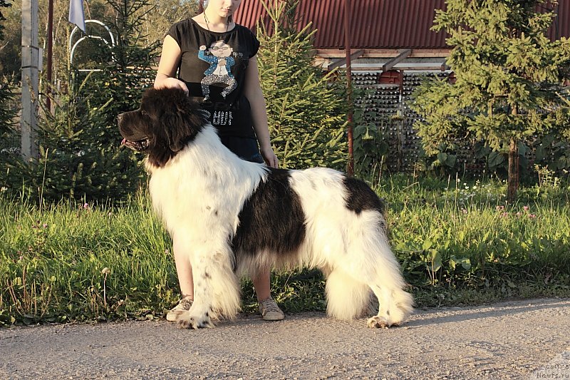 Фотография № 162712