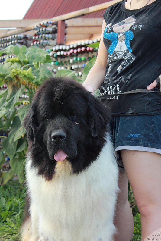 Фотография № 162714