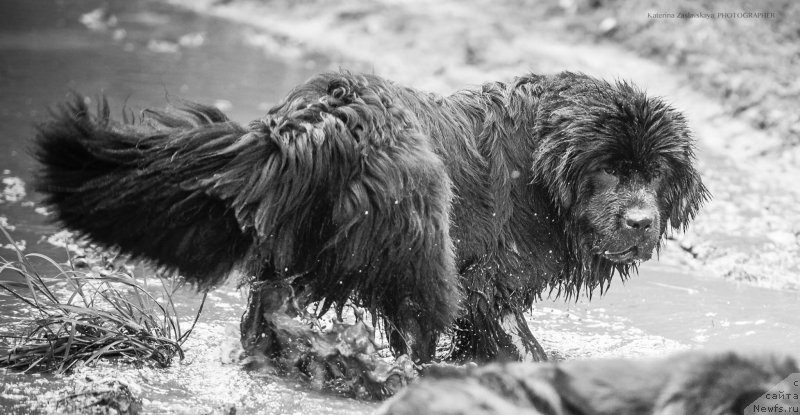 Фотография № 162722