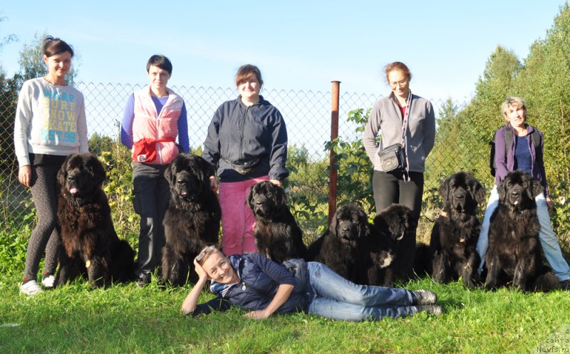 Фото: Olesya Arhipova (Олеся Архипова), ньюфаундленд Beguschaya po Volnam Ring of Fire (Бегущая по Волнам Ринг оф Фире), Vera Doroshkevich (Вера Дорошкевич), ньюфаундленд Beguschaya po Volnam Shaman (Бегущая по Волнам Шаман), Nadejda Myasnikova (Надежда Мясникова), Бегущая по волнам Фиф Элемент, Galina Akulina (Галина Акулина), Бегущая по волнам Чесс Квин ин Блэк, Бегущая по волнам Чарт Топпер, ньюфаундленд Beguschaya po Volnam Harizma (Бегущая по Волнам Харизма), ньюфаундленд Beguschaya po Volnam SHangri-La (Бегущая по Волнам Шангри-Ла), Галя, Ol'ga Koroleva (Ольга Королева)