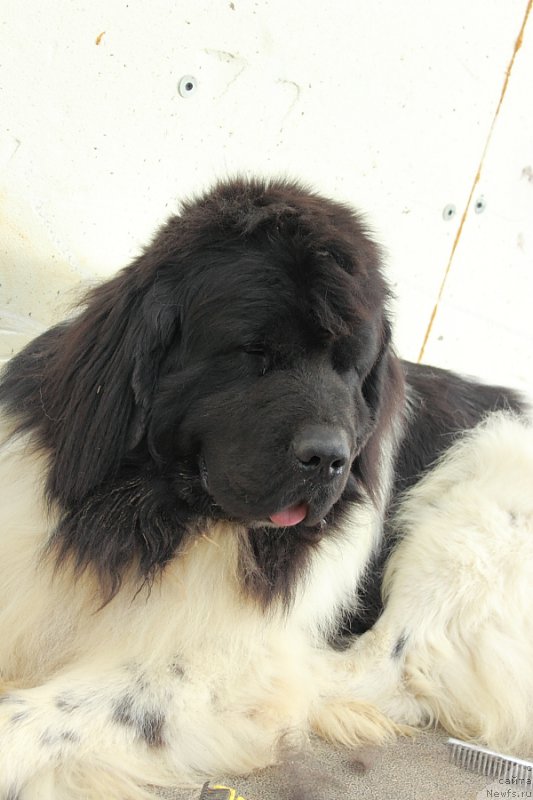 Фотография № 162733