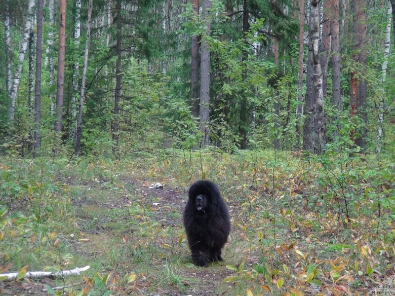 Фотография № 162735