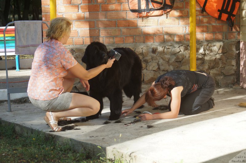 Фотография № 162741