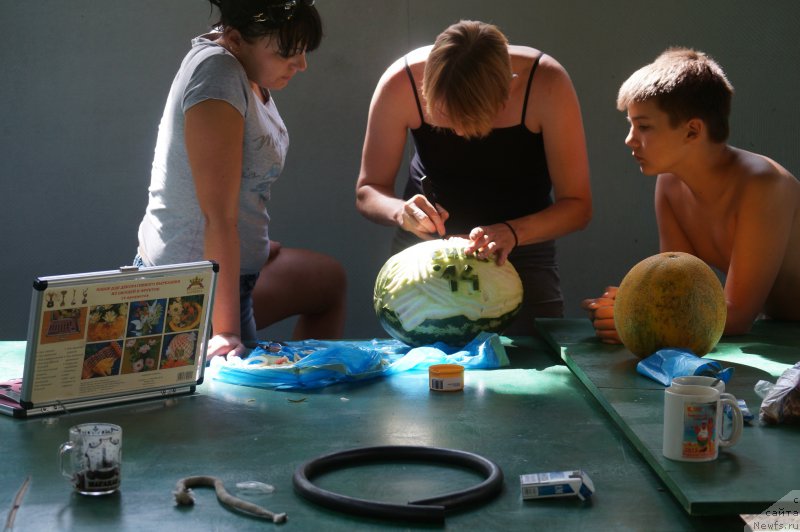 Фотография № 162743