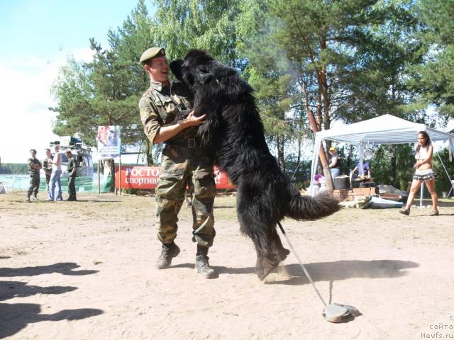 Фотография № 16275