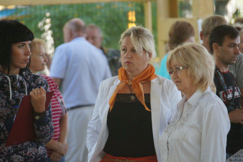 Фотография № 162754