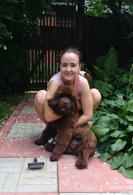 Фотография № 162755