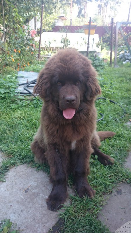 Фотография № 162757