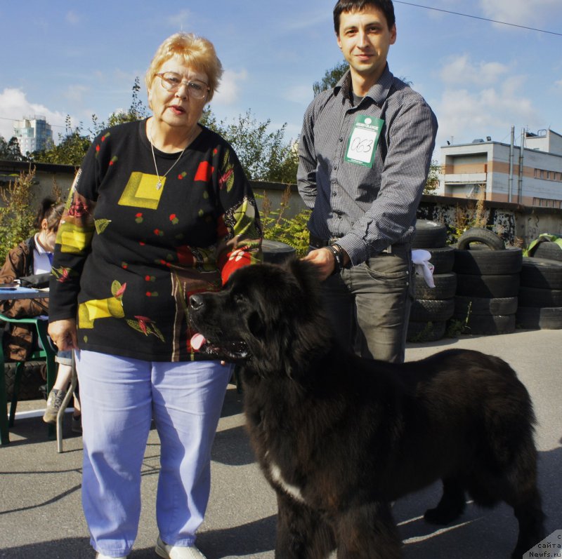 Фото: Aleksandr Korotkov (Александр Коротков), ньюфаундленд Smigar Love Story (Смигар Лав Стори)