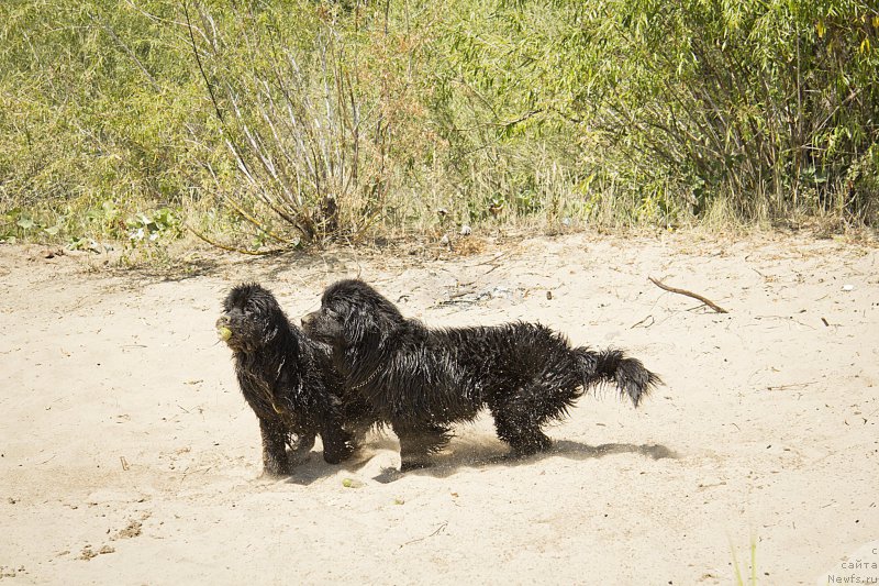 Фотография № 162764