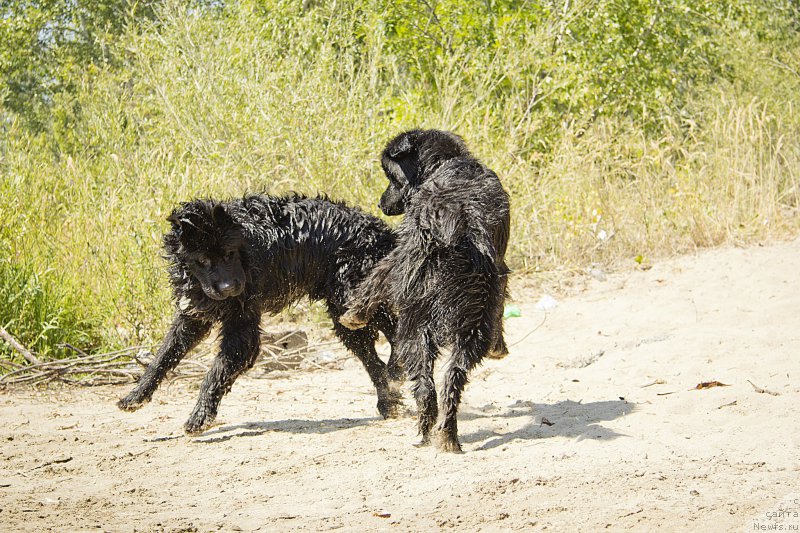 Фотография № 162765