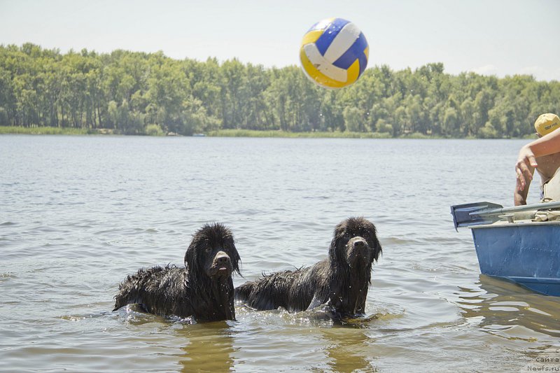 Фотография № 162766