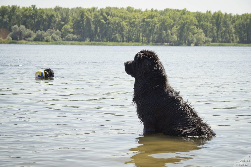 Фотография № 162767