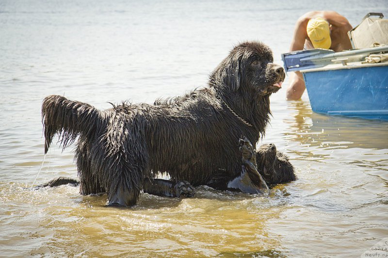 Фотография № 162768