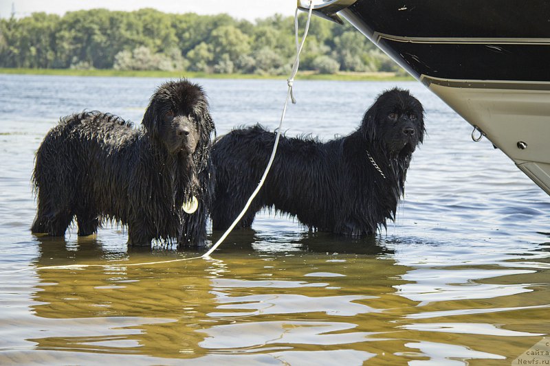 Фотография № 162769