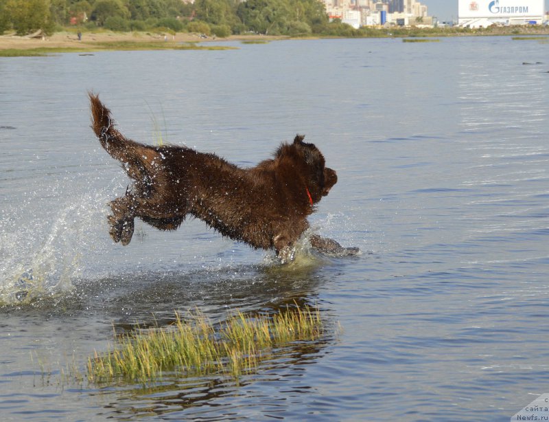 Фотография № 162783