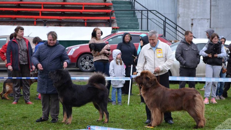 Фотография № 162790