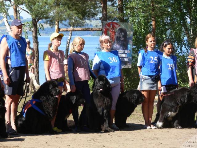 Фотография № 16282