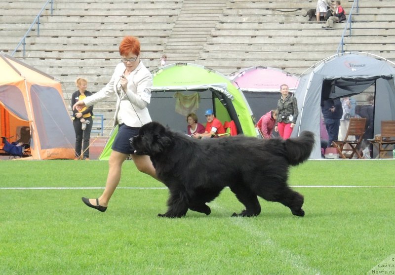 Фото: Wave Seeker`s My Love Is Yuor Love