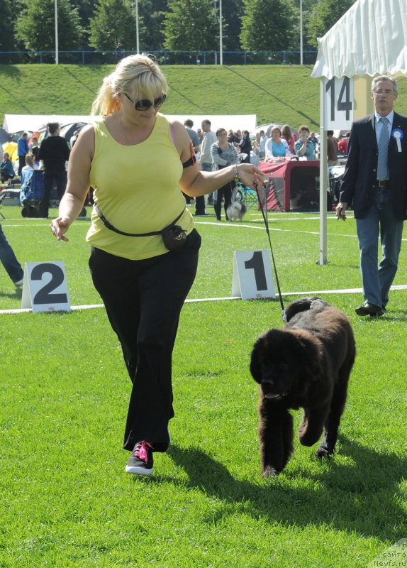 Фото: My Black Beauty Apache Sunstone