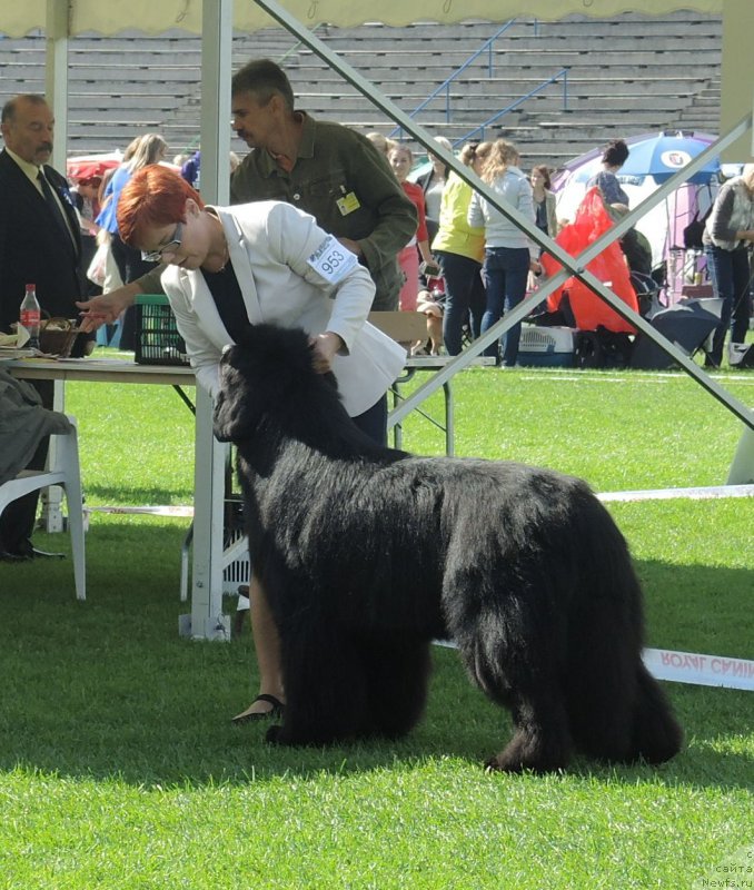 Фото: Wave Seeker`s My Love Is Yuor Love